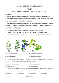 2024-2025学年七年级上学期白云区期末考试生物试卷（含答案）