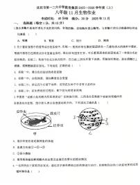 辽宁省沈阳市沈阳市第一二六中学教育集团2025-2026学年八年级上学期生物期中试卷