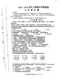 河南省三门峡市渑池县2025-2026学年七年级上学期11月期中生物试题