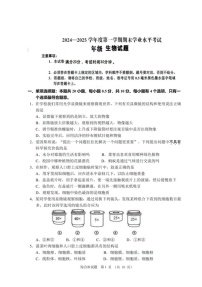 江苏省盐城市东台市2024-2025学年七年级上学期期末考试生物试题