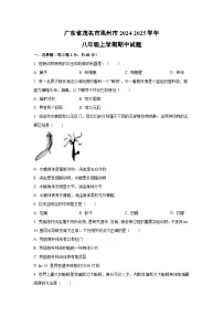 2024-2025学年广东省茂名市高州市八年级上学期期中生物试题（学生版）