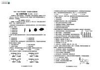 山东省烟台市牟平区（五四制）2025-2026学年七年级上学期期中考试生物试题