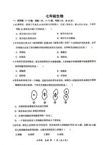 湖北省安陆市2025-2026学年七年级上学期期中生物试卷