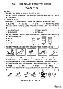 山东省枣庄市滕州市北辛中学2024-2025学年七年级上学期生物期中试卷