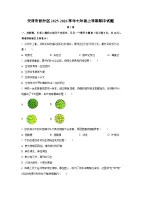 天津市部分区2025-2026学年七年级上学期期中生物试卷（学生版）