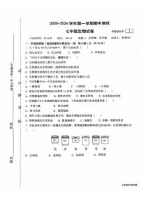 福建省龙岩市长汀县第四中学2025-2026学年七年级上学期11月期中生物试题