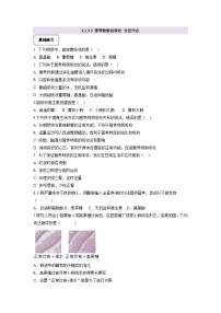 冀少版（2024）七年级下册（2024）营养物质的吸收精品当堂达标检测题