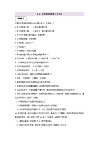 初中生物冀少版（2024）七年级下册（2024）泌尿系统的组成精品巩固练习