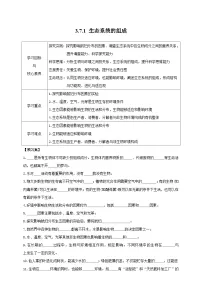 生物七年级下册（2024）生态系统的构成优质学案及答案