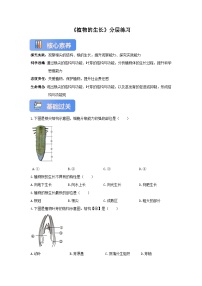 初中生物苏教版（2024）七年级下册（2024）植物的生长精品当堂达标检测题