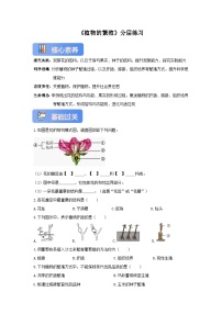 苏教版（2024）七年级下册（2024）植物的繁殖精品课堂检测