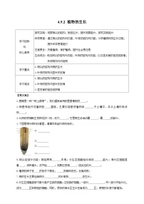 生物七年级下册（2024）植物的生长优秀导学案及答案