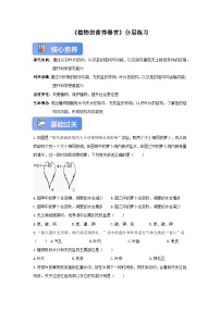 七年级下册（2024）植物的营养器官精品巩固练习