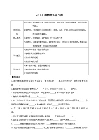 初中生物苏教版（2024）七年级下册（2024）植物的光合作用优秀导学案