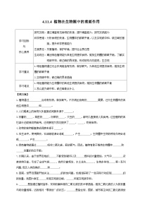 初中生物苏教版（2024）七年级下册（2024）第4节 植物在生物圈中的重要作用优秀学案