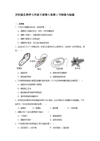 苏科版（2024）七年级下册（2024）病毒与细菌精品同步达标检测题