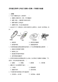 苏科版（2024）七年级下册（2024）病毒与细菌精品同步达标检测题