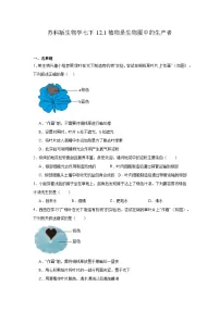 苏科版（2024）七年级下册（2024）植物是生物圈中的生产者优秀课后作业题