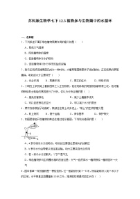 初中生物苏科版（2024）七年级下册（2024）植物参与生物圈中的水循环精品课后作业题