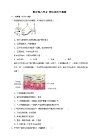 【期末核心考点】神经系统的组成 练习（含解析）-北京版初中生物七年级下册
