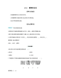 初中生物苏教版（2024）七年级下册（2024）植物的生长优秀学案设计