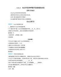 初中生物苏教版（2024）七年级下册（2024）第3节 光合作用和呼吸作用精品学案及答案