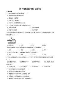 生物八年级下册（2024）生物的生存依赖一定的环境精品习题