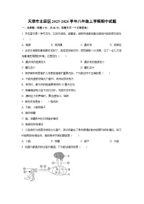 天津市北辰区2025-2026学年八年级上学期期中生物试题（学生版）