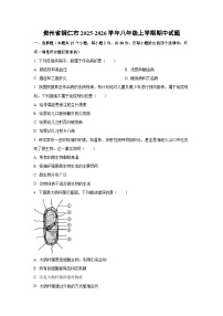 贵州省铜仁市2025-2026学年八年级上学期期中生物试题（学生版）
