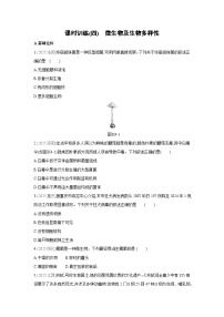 2026年福建省中考生物学一轮复习专题练习：微生物及生物多样性
