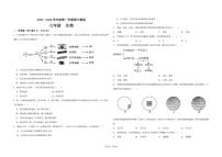 河北省石家庄第三十八中学2025-2026学年七年级上学期期中考生物试卷