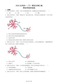 2025北京初一（下）期末生物汇编：神经系统的组成