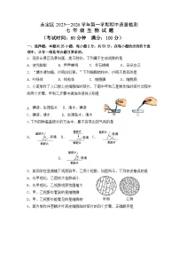 福建省龙岩市永定区2025-2026学年七年级上学期期中考试 生物试题