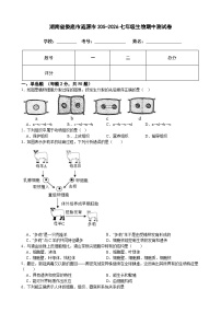 湖南省娄底市2025-2026学年七年级上学期11月期中 生物试题