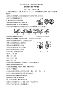 辽宁省沈阳市虹桥中学2025-2026学年七年级上学期 生物期中试卷