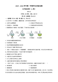 山东省枣庄市山亭区2025-2026学年七年级上学期期中 生物学试题