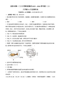 辽宁省沈阳市沈阳市第一二六中学教育集团2025-2026学年八年级上学期期中 生物学试题