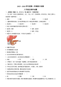 山东省济宁市邹城市2025-2026学年八年级上学期期中 生物学试题