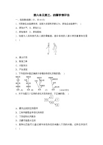 初中生物人教版（2024）八年级下册（2024）第四节 人类的起源课堂检测