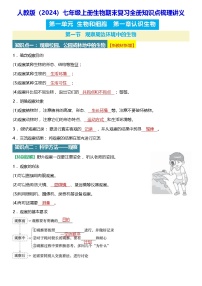 人教版（2024）七年级上册生物期末复习全册知识点梳理讲义