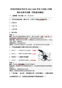 河南省南阳市邓州市2024-2025学年七年级上学期期末生物学试题+详细版带笔记答案
