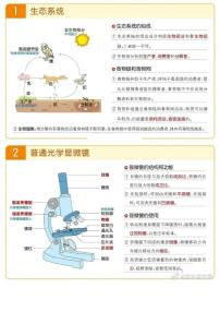 【初中人教版生物】必考知识点合集（精简版）