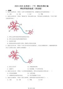 2023-2025北京初一（下）期末生物汇编：神经系统的组成（京改版）