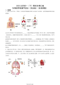 2025北京初一（下）期末生物汇编：生物的呼吸章节综合（京改版）（非选择题）