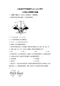 山东省济宁市邹城市2024-2025学年八年级上学期期中生物试卷（学生版）