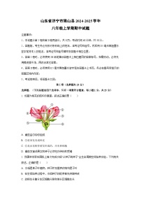 山东省济宁市梁山县2024-2025学年八年级上学期期中生物试卷（学生版）