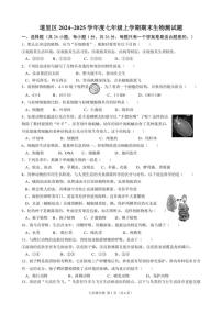 黑龙江省哈尔滨市道里区2024-2025学年上学期七年级生物期末试题