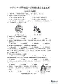 广东省惠州市惠阳区2024-2025学年七年级上学期1月期末生物试题