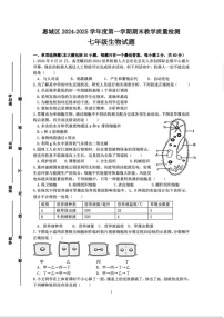 广东省惠州市惠城区2024-2025学年七年级上学期期末考试生物试题