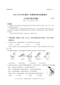 广东省深圳市南山区2024-2025学年七年级上学期期末生物试卷